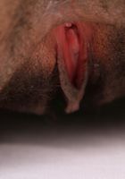 Black model Aaliyah shows her tits, Aaliyah (aal004) ATK Exotics: Aaliyah (Black model Aaliyah shows her tits)