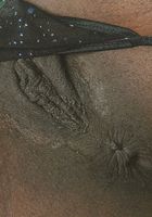 Adora in black women, Adora (ado001) ATK Exotics: Adora (Adora in black women)