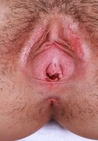 Ali Jones from ATK Petites