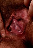 Hairy amber lets you get real close to her spread pussy, Amber (amb041) ATK Archives: Amber (Hairy amber lets you get real close to her spread pussy)