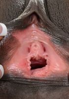 Ana Foxxx deletes your memory when she opens her pussy wide., Ana Foxxx (ana027) ATK Exotics: Ana Foxxx (Ana Foxxx deletes your memory when she opens her pussy wide.)