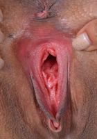 Anya Ivy fingers her pussy, Anya Ivy (any008) ATK Exotics: Anya Ivy (Anya Ivy fingers her pussy)