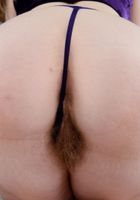 Apricot Pitts in young and hairy, Apricot Pitts (apr024) ATK Natural & Hairy: Apricot Pitts (Apricot Pitts in young and hairy)