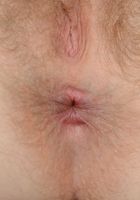 Apricot Pitts in young and hairy, Apricot Pitts (apr024) ATK Natural & Hairy: Apricot Pitts (Apricot Pitts in young and hairy)