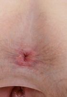 Apricot Pitts in young and hairy, Apricot Pitts (apr024) ATK Natural & Hairy: Apricot Pitts (Apricot Pitts in young and hairy)