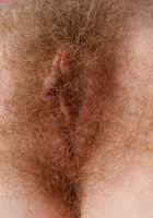 Apricot Pitts in young and hairy, Apricot Pitts (apr024) ATK Natural & Hairy: Apricot Pitts (Apricot Pitts in young and hairy)