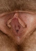 Apricot Pitts in young and hairy, Apricot Pitts (apr024) ATK Natural & Hairy: Apricot Pitts (Apricot Pitts in young and hairy)