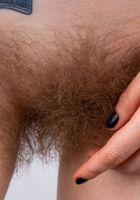 Apricot Pitts in young and hairy, Apricot Pitts (apr024) ATK Natural & Hairy: Apricot Pitts (Apricot Pitts in young and hairy)