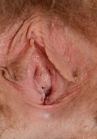 Apricot Pitts from ATK Natural & Hairy