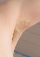 Apricot Pitts in young and hairy, Apricot Pitts (apr024) ATK Natural & Hairy: Apricot Pitts (Apricot Pitts in young and hairy)