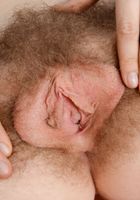 Apricot Pitts in young and hairy, Apricot Pitts (apr024) ATK Natural & Hairy: Apricot Pitts (Apricot Pitts in young and hairy)