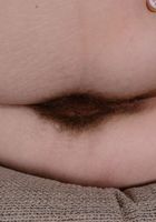 Apricot Pitts in young and hairy, Apricot Pitts (apr024) ATK Natural & Hairy: Apricot Pitts (Apricot Pitts in young and hairy)