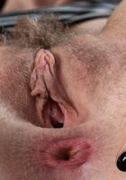 Apricot Pitts in upskirts and panties, Apricot Pitts (apr024) ATK Natural & Hairy: Apricot Pitts (Apricot Pitts in upskirts and panties)