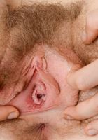 Apricot Pitts in young and hairy, Apricot Pitts (apr024) ATK Natural & Hairy: Apricot Pitts (Apricot Pitts in young and hairy)