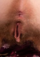 Apricot Pitts in young and hairy, Apricot Pitts (apr024) ATK Natural & Hairy: Apricot Pitts (Apricot Pitts in young and hairy)