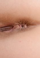 Arielle Faye Upskirt Spreads, Arielle Faye (ari047) ATK Exotics: Arielle Faye (Arielle Faye Upskirt Spreads)