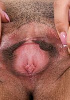 Eve Ellwood in latinas, Eve Ellwood (ari049) ATK Exotics: Eve Ellwood (Eve Ellwood in latinas)