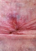 ATK Petites: Avery Wilds (Avery Wilds Lingerie Spreads)