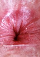 Big Eyes from ATK Petites