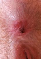 ATK Natural & Hairy: Big Eyes (Big Eyes is your catty pet for the night)