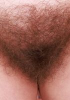Bratty Wolfie Black Lingerie, Bratty Wolfie (bra041) ATK Natural & Hairy: Bratty Wolfie (Bratty Wolfie Black Lingerie)