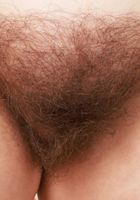 Bratty Wolfie Hairy Spreads, Bratty Wolfie (bra041) ATK Natural & Hairy: Bratty Wolfie (Bratty Wolfie Hairy Spreads)