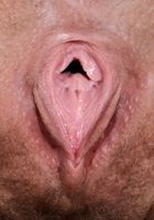 Brielle Woods in young and hairy, Brielle Woods (bri071) ATK Natural & Hairy: Brielle Woods (Brielle Woods in young and hairy)