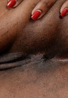 Chanell Heart from ATK Exotics