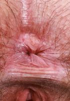 Annabelle Lee plays with her pubes from ATK Petites Annabelle Lee from ATK Petites