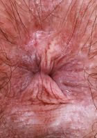 ATK Natural & Hairy: Annabelle Lee (Annabelle Lee kicks things off)