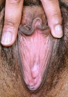 Davin does some Spreading, Davin (dav012) ATK Natural & Hairy: Davin (Davin does some Spreading)