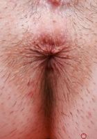 ATK Galleria: Daydream Daisy (Daydream Daisy Thong Panties Wide Spreads)