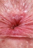 Daydream Daisy from ATK Galleria