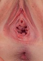 Emma Starletto in amateur, Emma Starletto (emm035) ATK Petites: Emma Starletto (Emma Starletto in amateur)