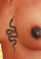 Fae Love Hot Indian Sizzle, Fae Love (fae004) ATK Exotics: Fae Love (Fae Love Hot Indian Sizzle)