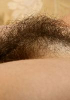 Hairy Felix fucks a dildo, Felix Weatherwood (fel017) ATK Archives: Felix Weatherwood (Hairy Felix fucks a dildo)