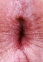 Gracey Snow likes her nipples pinched, Gracey Snow (gra027) ATK Galleria: Gracey Snow (Gracey Snow likes her nipples pinched)