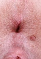 Harlow West from ATK Galleria