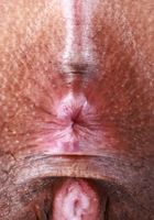 Isabella Jules from ATK Exotics