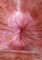 Isabella Jules is wet and ready under her skirt, Isabella Jules (isa044) ATK Petites: Isabella Jules (Isabella Jules is wet and ready under her skirt)