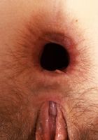 Jackie Hoff Black Lingerie, Jackie Hoff (jac041) ATK Natural & Hairy: Jackie Hoff (Jackie Hoff Black Lingerie)
