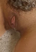 Jasmine in latinas, Jasmine (jas019) ATK Exotics: Jasmine (Jasmine in latinas)