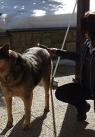 Jedda in candid, Jedda (jed002) ATK Petites: Jedda (Jedda in candid)