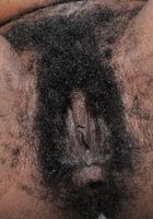 Jordan Lover in exotic and hairy, Jordan Lover (jor021) ATK Natural & Hairy: Jordan Lover (Jordan Lover in exotic and hairy)
