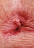 Kallie Taylor Strips & Spreads Wide, Kallie Taylor (kal019) ATK Petites: Kallie Taylor (Kallie Taylor Strips & Spreads Wide)
