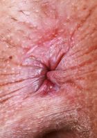 ATK Exotics: Kate Legend (Kate Legend Daisy Dukes and Spreading)