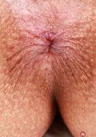 ATK Exotics: Kate Legend (Show Kate Legend some love in her bra and panties)