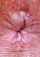 Katerina Karson from ATK Petites