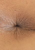 Lilly Hall in latinas, Lilly Hall (lil090) ATK Exotics: Lilly Hall (Lilly Hall in latinas)