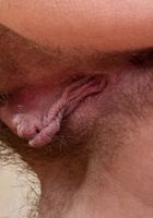 Hairy Latvian Linden makes her debut, Linden (lin047) ATK Archives: Linden (Hairy Latvian Linden makes her debut)